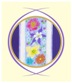 37-Beauty Descending