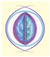 9-Compassion